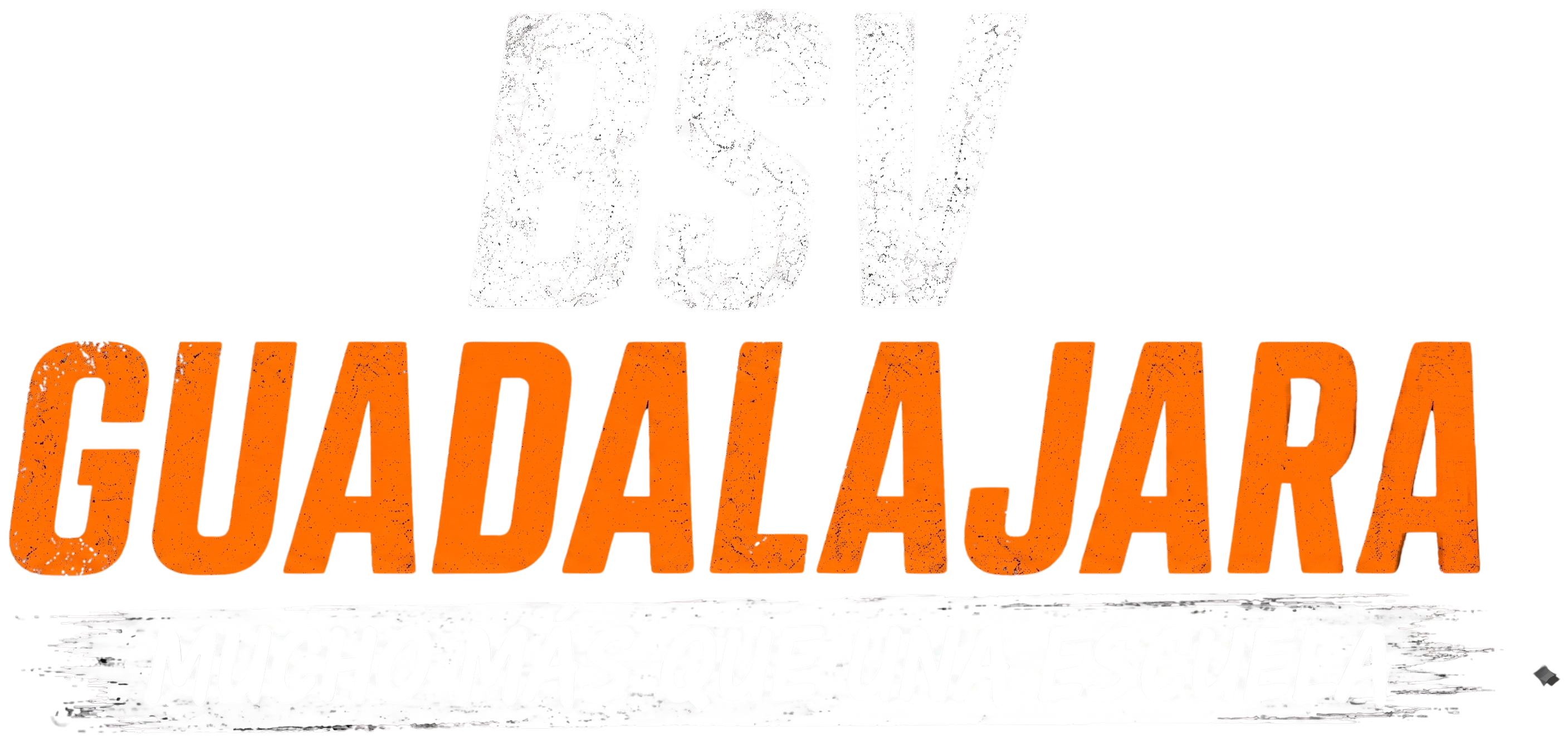 BSV Guadalajara — Mucho más que una escuela