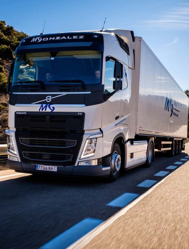 MG Transportes